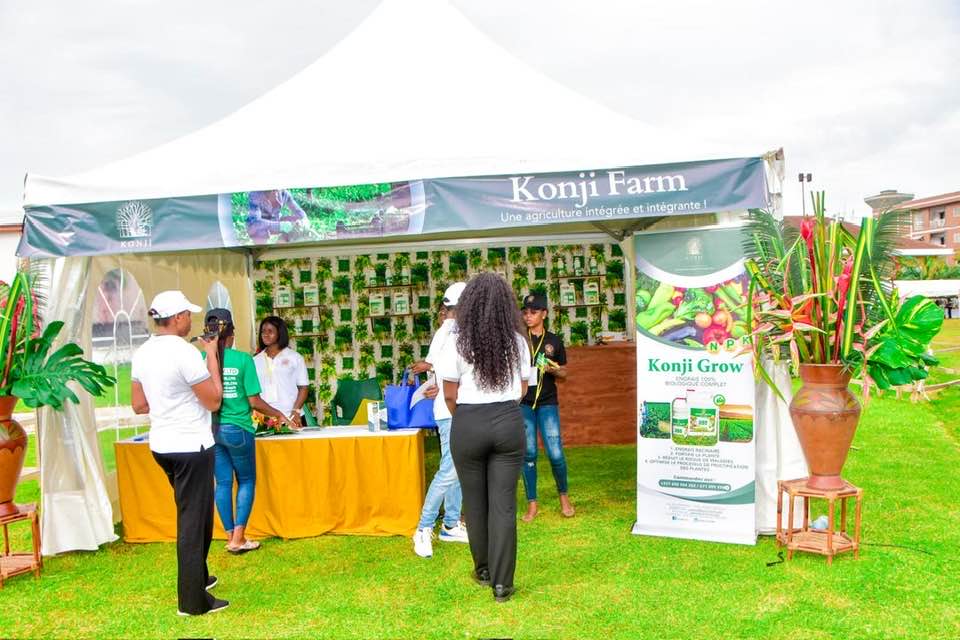 444153123_122126318444265805_6087580674414911617_n.jpg (86 KB)