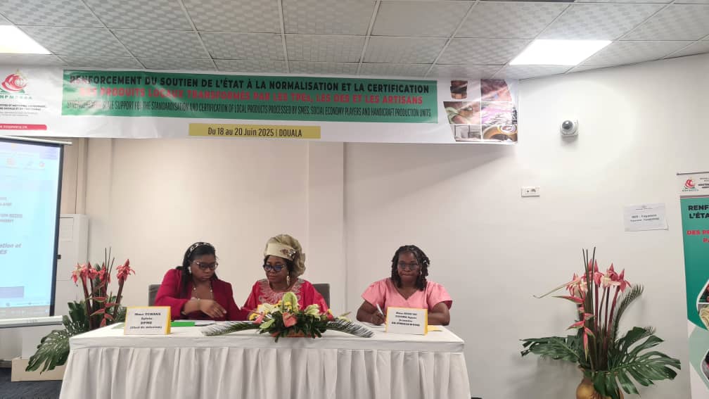 Minpmeesa 1.jpeg (49 KB)