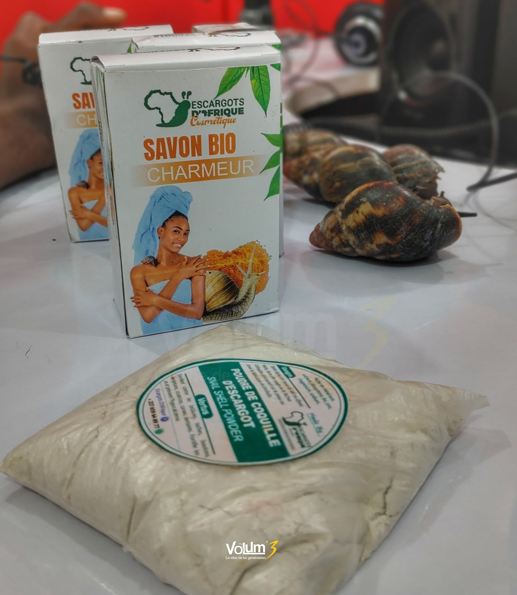 Escargot 2.jpg (463 KB)