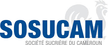 WhatsApp Image 2025-01-25 at 19.28.03.jpeg (10 KB)